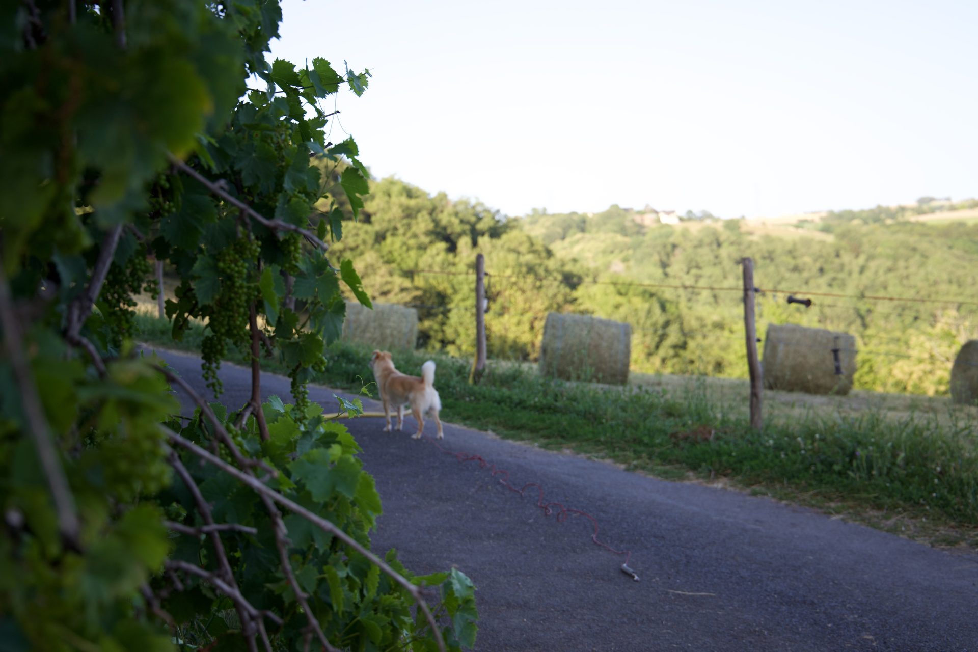 Vue du gîte